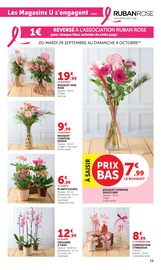 Promos Vase dans le catalogue "SUPER U" de Super U Vase en promo dans le catalogue Super U à la page 19