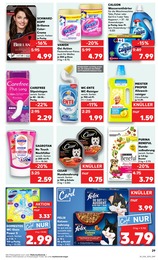 WC Reiniger Angebot & Preis im aktuellen Kaufland Prospekt WC Reiniger Angebot im aktuellen Kaufland Prospekt auf Seite 45