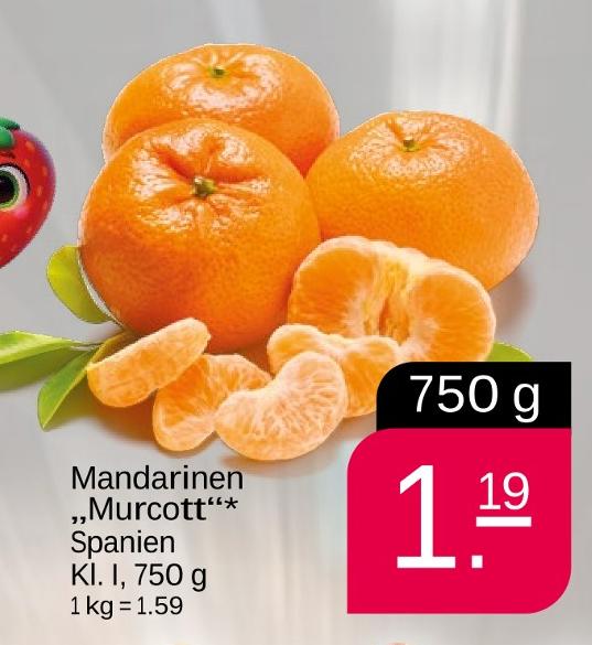 Mandarinen Murcott