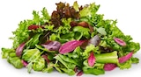 Deutscher mediterraner Pflücksalat bei Penny im Prospekt "" für 0,99 €