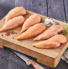 Filet de poulet Label Rouge des Landes - Super U à Perpignan Filet de poulet Label Rouge des Landes en promo chez Super U Perpignan à 17,49 €