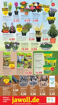 Kies im Jawoll Prospekt "Sonderposten-Märkte" mit 12 Seiten (Duisburg)