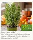 Aktuelles Kraut - Sunny heRBs Angebot bei Pflanzen Kölle in Heilbronn ab 3,99 €