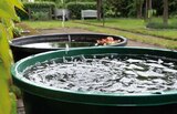 Regenwasser Erdtank Primus im Globus-Baumarkt Prospekt Regenwasser Erdtank Primus von 4rain im aktuellen Globus-Baumarkt Prospekt fĂŒr 999,00 âŹ
