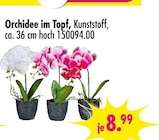 Orchidee im Topf Angebote bei SB Möbel Boss Salzgitter für 8,99 €