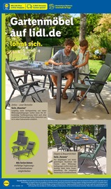 Aktueller Lidl Prospekt mit Garten, "LIDL LOHNT SICH", Seite 6