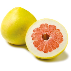 Pomelo rot