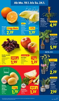 Kartoffeln im Lidl Prospekt "LIDL LOHNT SICH" mit 63 Seiten (Mannheim)