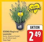 Lavendel von EDEKA Regional für 2,49 € bei EDEKA im Angebot Lavendel von EDEKA Regional im aktuellen EDEKA Prospekt