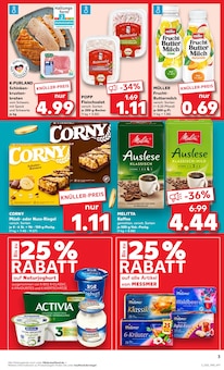 Joghurt im Kaufland Prospekt "Aktuelle Angebote" mit 56 Seiten (Braunschweig)