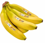 Bananen im Angebot bei Netto Marken-Discount in Plauen Bananen Angebote von Netto bei Netto Marken-Discount Plauen für 1,00 €