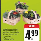 Aktuelles Frühlingsspankorb Angebot bei EDEKA in Leipzig ab 4,99 €