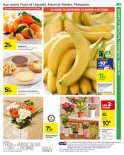 Plante Verte Angebote im Prospekt "LE COIN DES ENFANTS" von Carrefour Market auf Seite 15