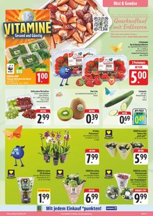 Tulpen im E center Prospekt "Wir lieben Lebensmittel!" mit 34 Seiten (Erlangen)