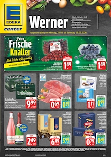 Aktueller EDEKA Prospekt "Wir lieben Lebensmittel!" Aktueller EDEKA Prospekt