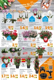 Blumen Angebot im aktuellen Globus-Baumarkt Prospekt auf Seite 2