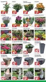 Gartendeko im Wreesmann Prospekt in Brandenburg Aktueller Wreesmann Prospekt mit Gartendeko, "DEIN SAISON- & SONDERPOSTENMARKT!", Seite 3