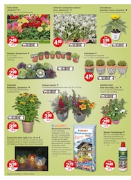 Geschenkartikel im V-Markt Prospekt Geschenkartikel im V-Markt Prospekt "V-Markt einfach besser einkaufen" auf Seite 14
