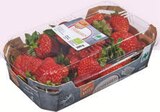 Bio-Erdbeeren von Naturland, tegut... im aktuellen tegut Prospekt