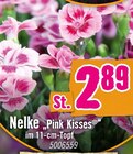 Nelke „Pink Kisses®“ bei Hornbach im Trier Prospekt für 2,89 €