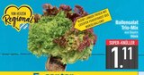 Ballensalat Trio-Mix von  im aktuellen EDEKA Prospekt für 1,11 €