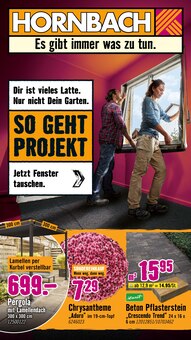 Aktueller Hornbach Prospekt für Bruchweiler-Bärenbach und Ungebung, Seiten zum blättern Hornbach Prospekt Dir ist vieles Latte. Nur nicht Dein Garten. mit Seiten in Bruchweiler-Bärenbach und Umgebung