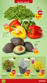 Salat Angebote im Prospekt "Wer günstig will, muss Penny." von Penny Salat Angebote im Prospekt "Wer günstig will, muss Penny." von Penny auf Seite 5