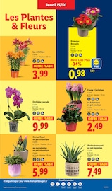 Orchidée Angebote im Prospekt "SOLDES ! SOLDES ! Économisez jusqu'à 75 %" von Lidl Orchidée Angebote im Prospekt "SOLDES ! SOLDES ! Économisez jusqu'à 75 %" von Lidl auf Seite 27