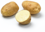 Promo Plants de pommes de terre Bintje à 8,50 € dans le catalogue LaMaison.fr à Sourdeval
