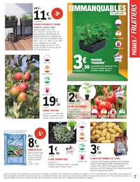Offre Menthe dans le catalogue E.Leclerc du moment à la page 7