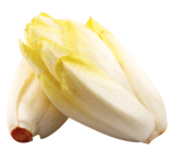 Endive à Provenc’halles dans Mézel Endive à Provenc’halles dans Mézel
