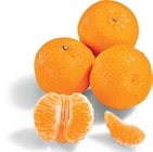 Satsumas bei Netto Marken-Discount im Prospekt "" für 1,69 €
