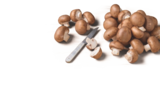 Bio-Champignons braun im Angebot bei tegut in Erfurt Bio-Champignons braun Angebote von tegut... bei tegut Erfurt für 1,99 €