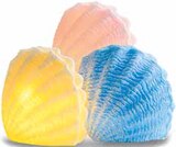 LED-Muschel von Nord für 5,99 € bei Netto mit dem Scottie im Angebot LED-Muschel von Nord im aktuellen Netto mit dem Scottie Prospekt