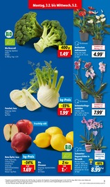 Aktueller Lidl Prospekt mit Garten, "LIDL LOHNT SICH", Seite 3