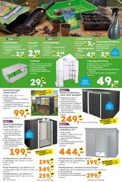 Aktueller Globus-Baumarkt Prospekt mit Pflanzen, "Immer eine Idee besser", Seite 10