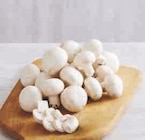 CHAMPIGNON BLANC DE PARIS PIED ENTIER à U Express dans Cesson-Sévigné CHAMPIGNON BLANC DE PARIS PIED ENTIER à U Express dans Cesson-Sévigné