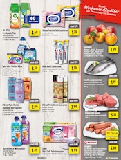 Aktueller EDEKA Prospekt mit Toilettenpapier, "Aktuelle Angebote", Seite 13