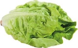 EDEKA Raesfeld - Mini-Romana Angebot im Prospekt Mini-Romana bei EDEKA im Raesfeld Prospekt für 0,99 €