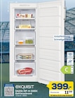 GS231-NF-H-040C Gefrierschrank bei EURONICS im Arnsberg Prospekt für 399,00 €