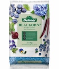 Blaukorn Angebote von Dehner bei Dehner Garten-Center Frankenthal für 7,99 €