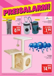 Aktueller Marktkauf Prospekt mit Mülleimer, "AUSWAHL RIESIG, PREISE NIEDRIG", Seite 38