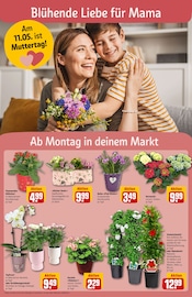 Ähnliche Knietablett Angebote im Prospekt "Dein Markt" von REWE Ähnliches Angebot bei REWE in Prospekt "Dein Markt" gefunden auf Seite 6