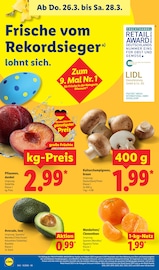 Champignons im Lidl Prospekt in Aachen Aktueller Lidl Prospekt mit Champignons, "LIDL LOHNT SICH", Seite 66