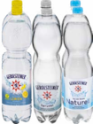 Aktuelle Gerolsteiner Angebote bei Netto Marken-Discount in Darmstadt Aktuelles Mineralwasser Angebot bei Netto Marken-Discount in Darmstadt ab 3,99 €