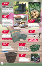 Schuhe im Kiebitzmarkt Prospekt in Lüneburg Aktueller Kiebitzmarkt Prospekt mit Schuhe, "Schöne Herbstzeit", Seite 4