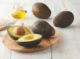Avocat dans le catalogue Super U