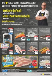 Forelle im EDEKA Prospekt in Siegburg Aktueller EDEKA Prospekt mit Forelle, "Aktuelle Angebote", Seite 24