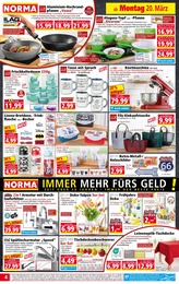 Matratze Angebot im aktuellen Norma Prospekt auf Seite 4