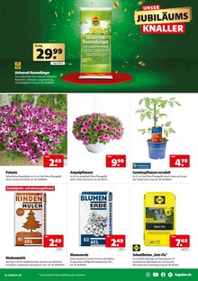 Blumenerde im Hagebaumarkt Prospekt "UNSERE JUBILÄUMS KNALLER" mit 20 Seiten (Kiel)